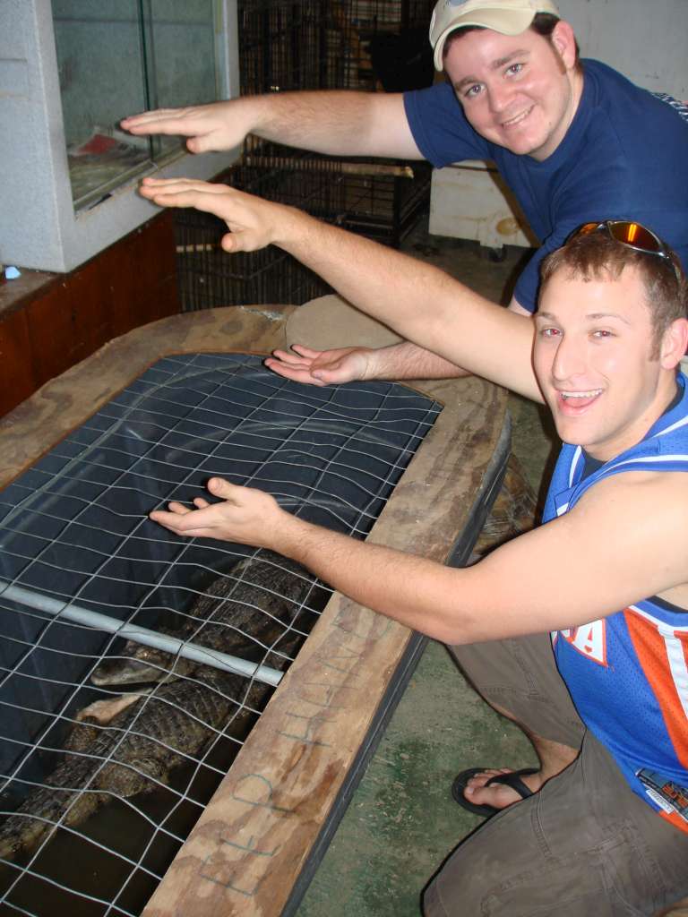 25