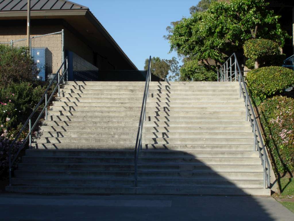 24