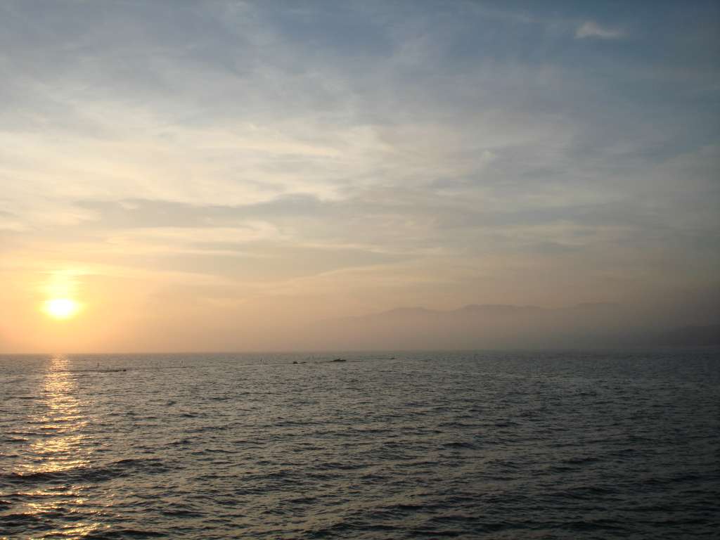 07