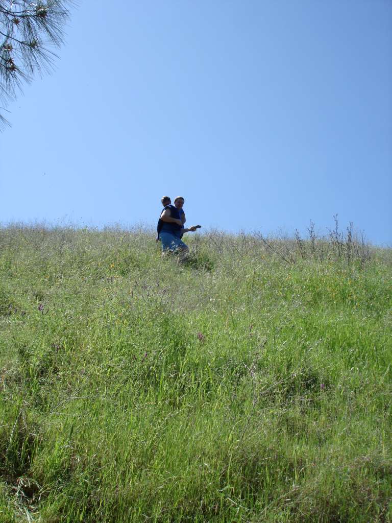 06