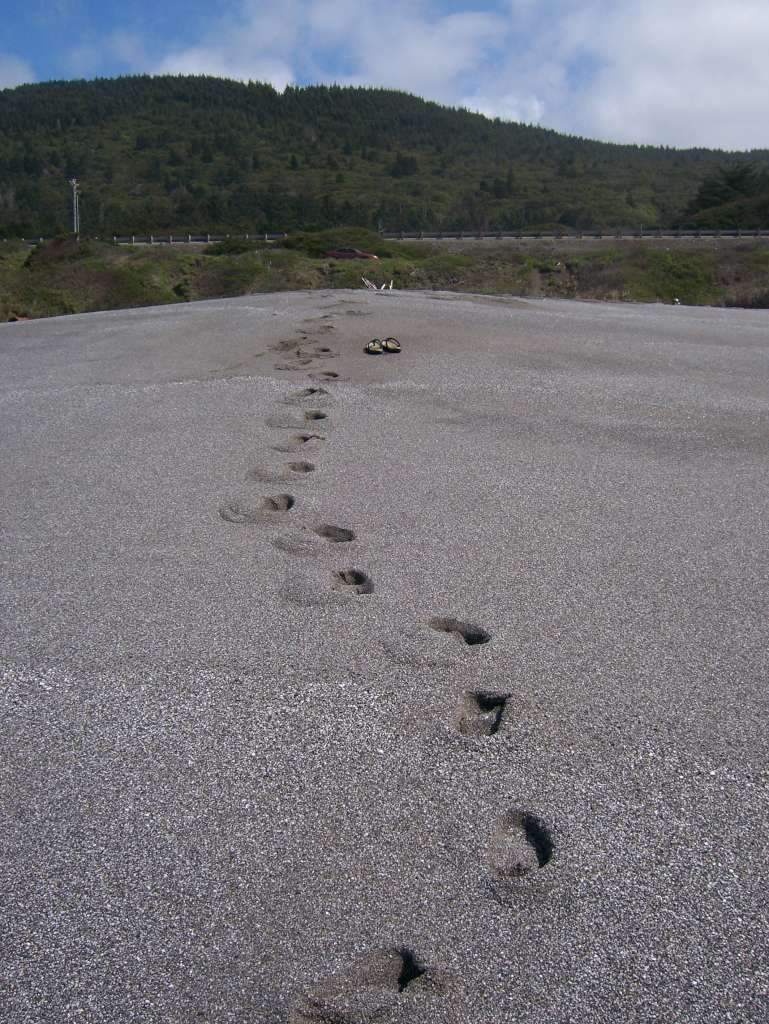 06