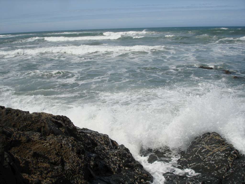 09